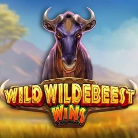 Wild Wildebeest Wins slot icon by Pragmatic Play, available at Malina Casino